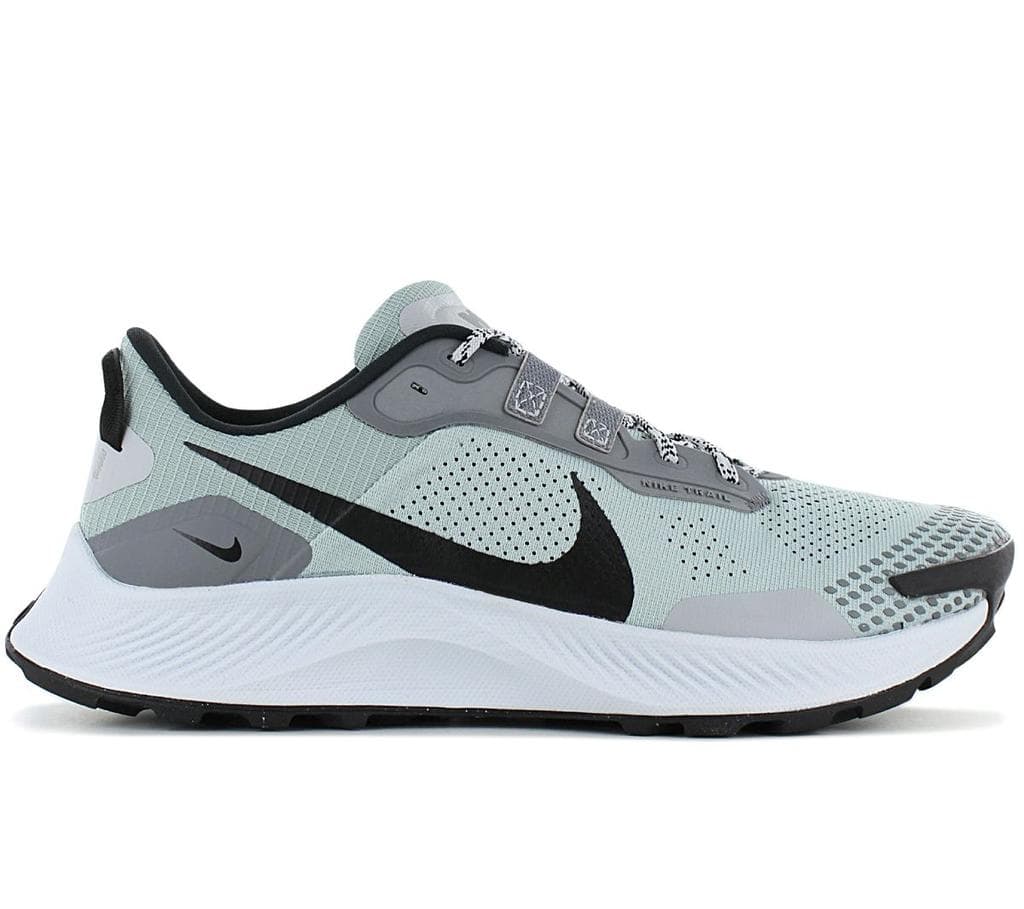 Nike Pegasus Trail 3 "Dusty Sage"