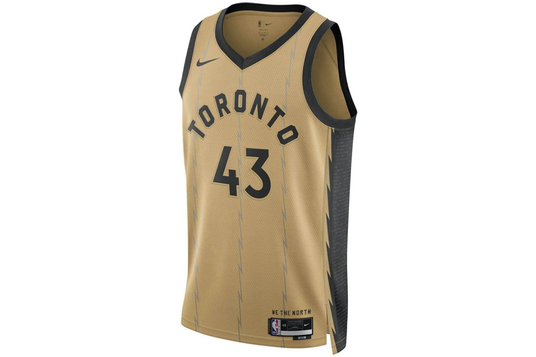 Nike NBA Toronto Raptors Pascal Siakam 43 Swingman Jersey