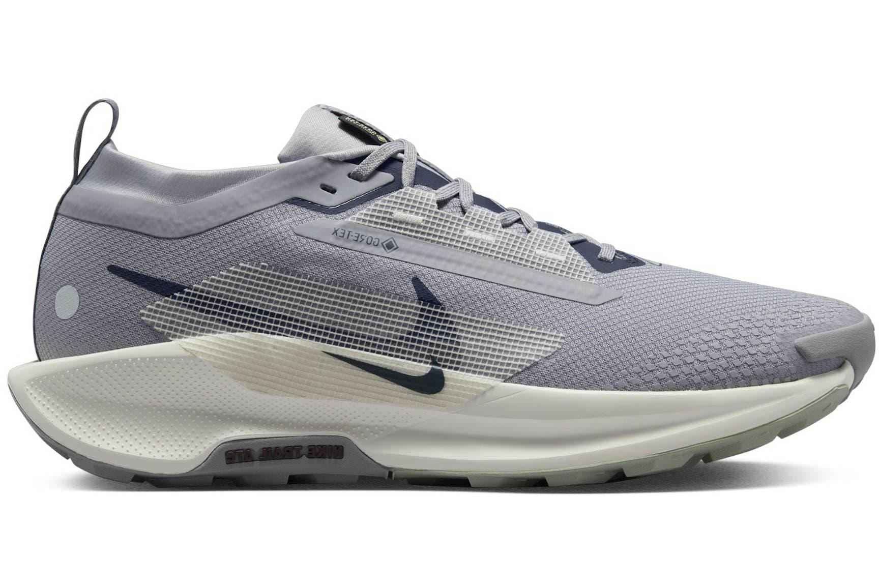 Nike Pegasus Trail 5 Goretex