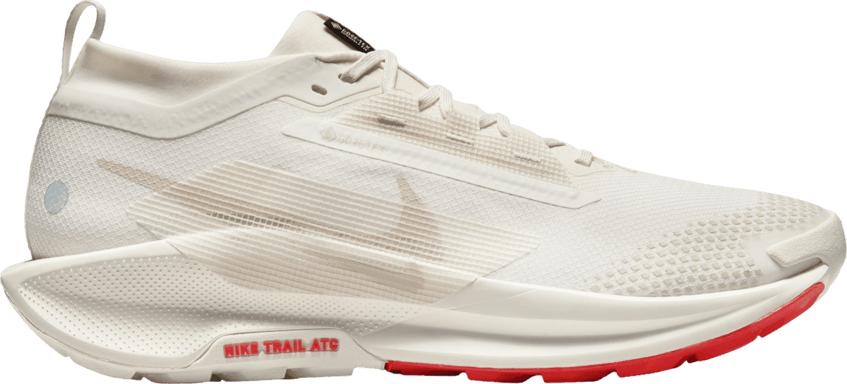 Nike Pegasus Trail 5 Goretex "Sail"