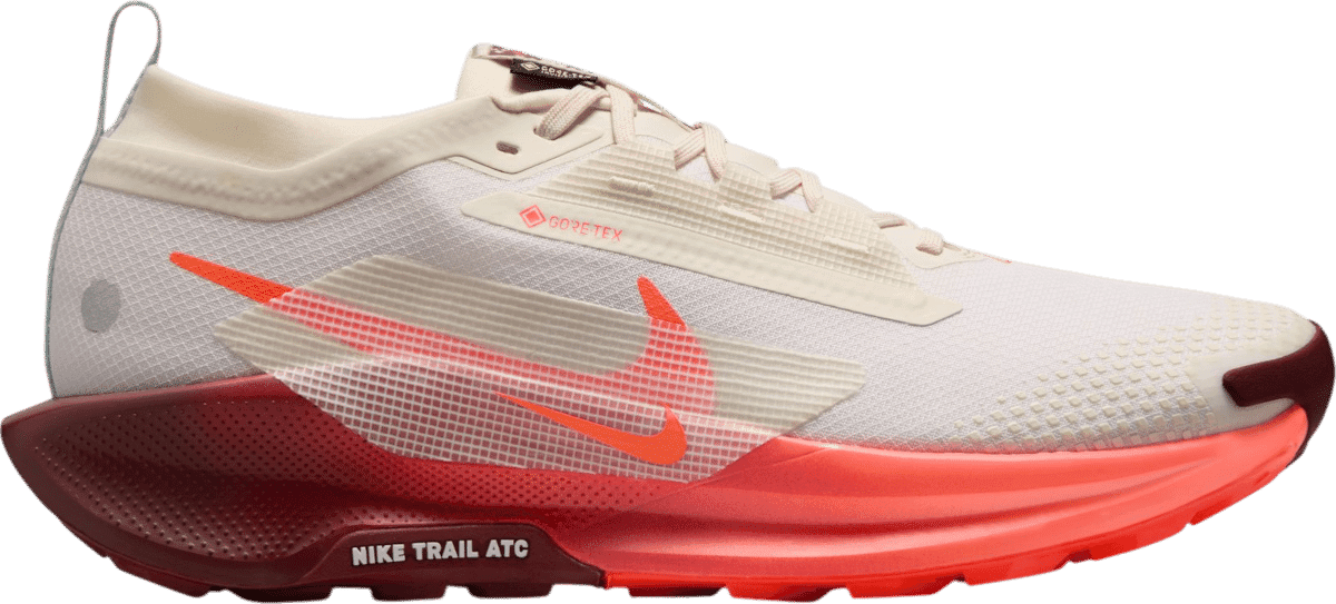 Nike React Pegasus Trail 5 Goretex