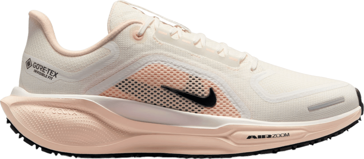 W Nike Zoom Pegasus 41 Goretex Running