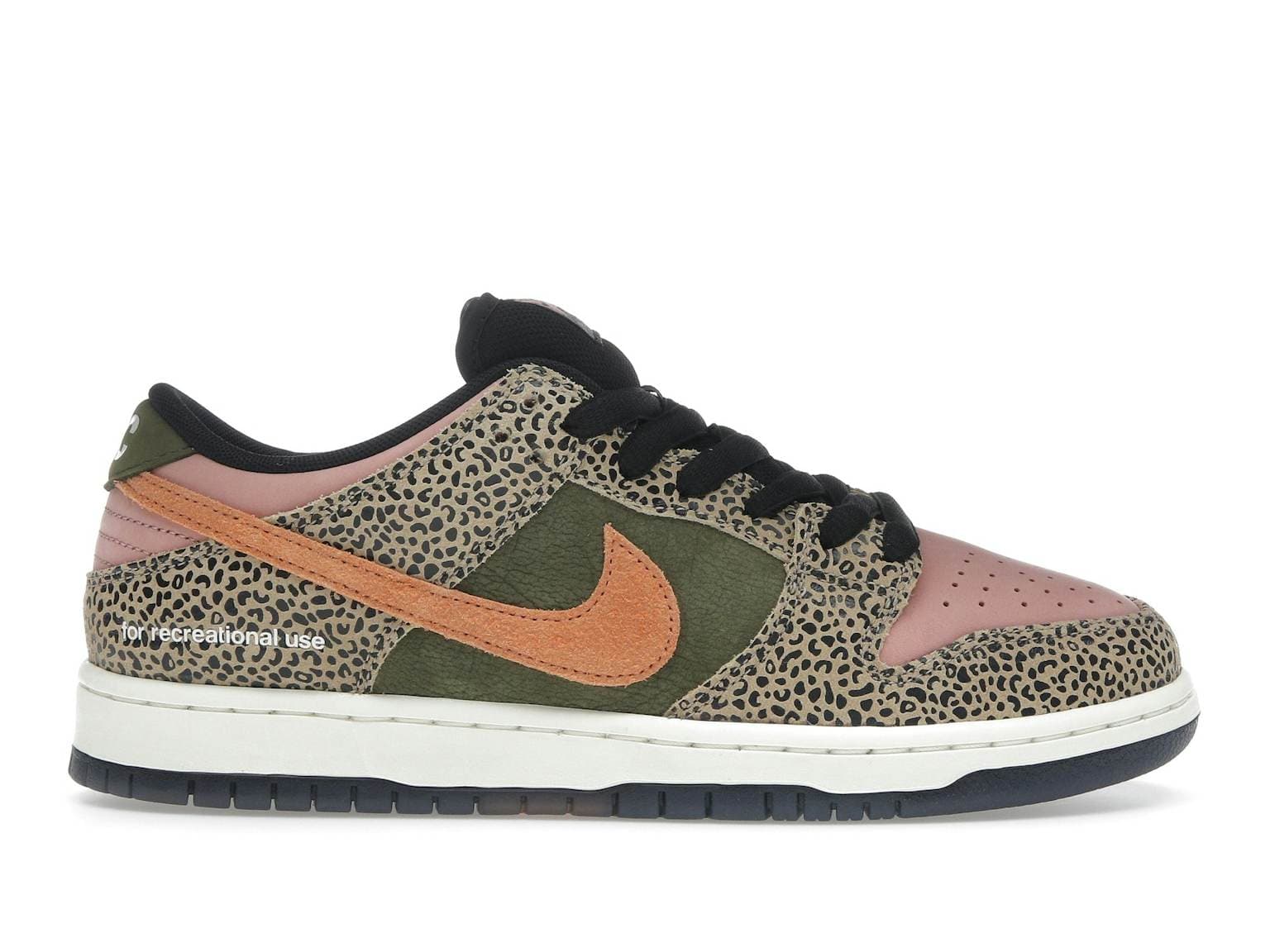 Nike SB Dunk Low Pro "Arts-Rec"